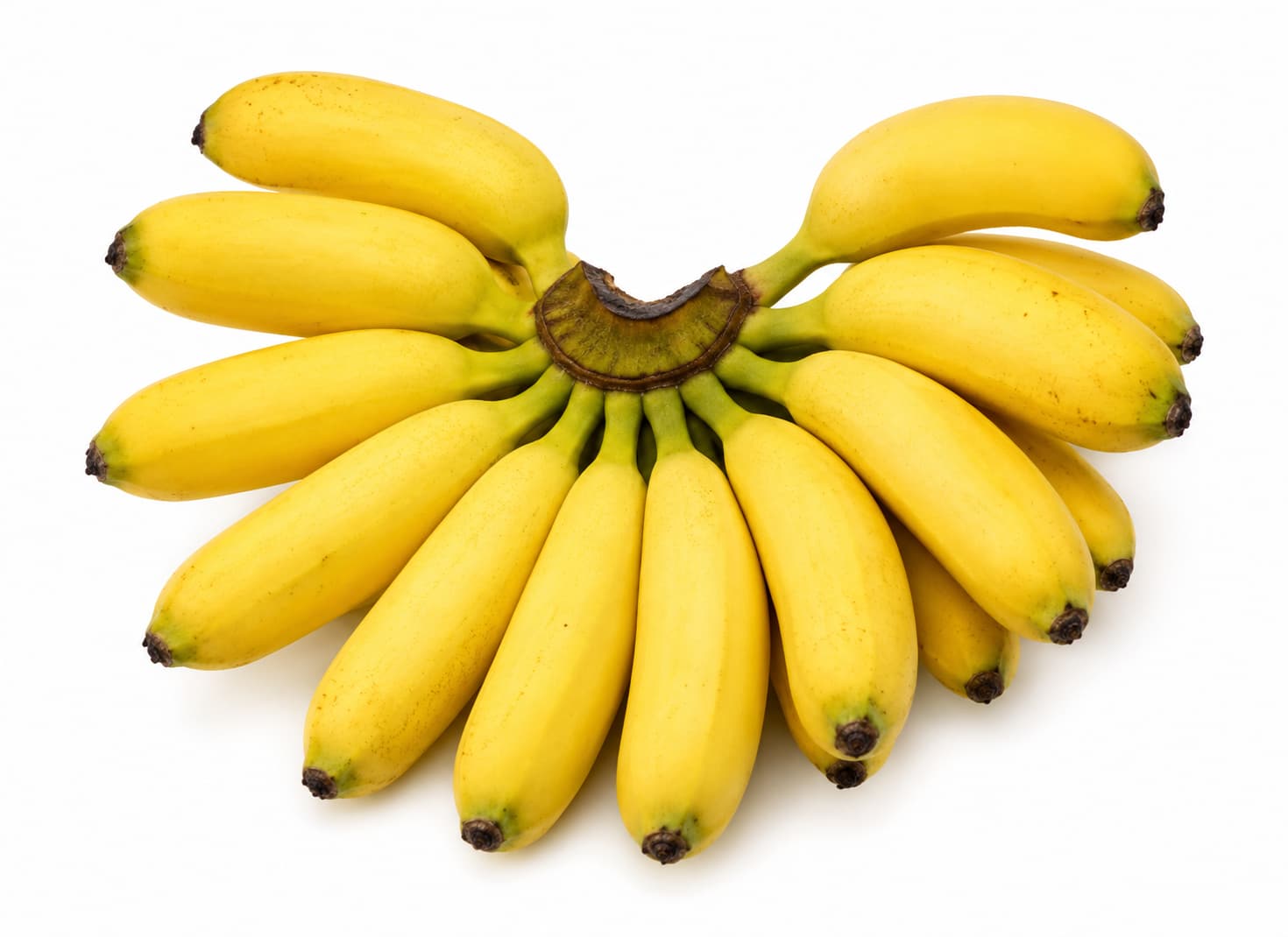 Baby Banana