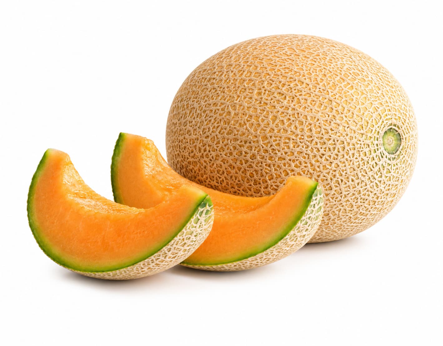 Cantaloupe