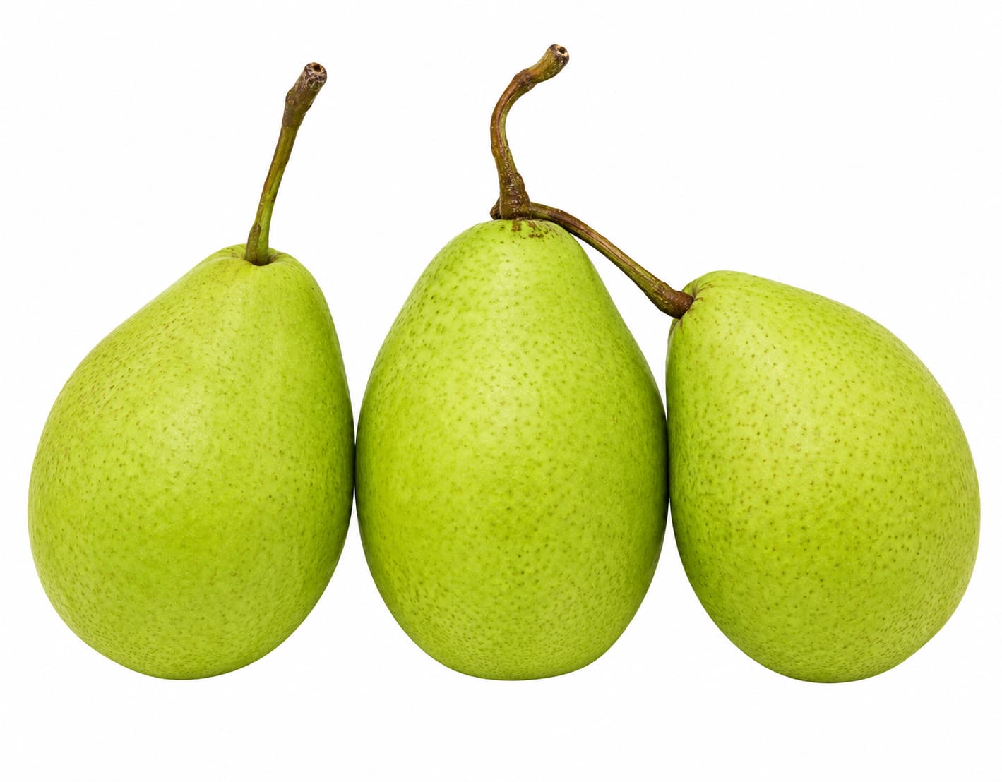 Yali Pear