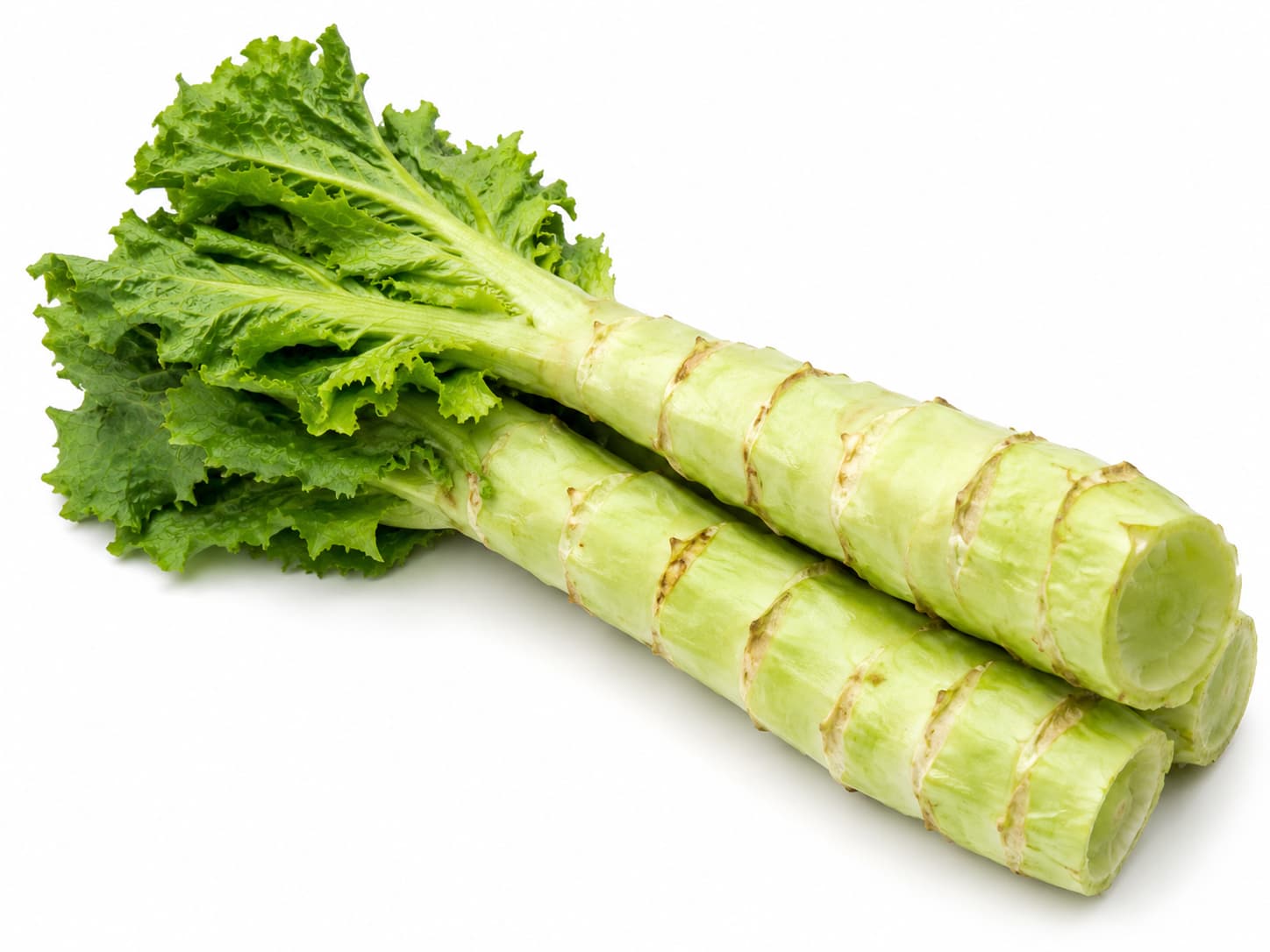 Celtuce